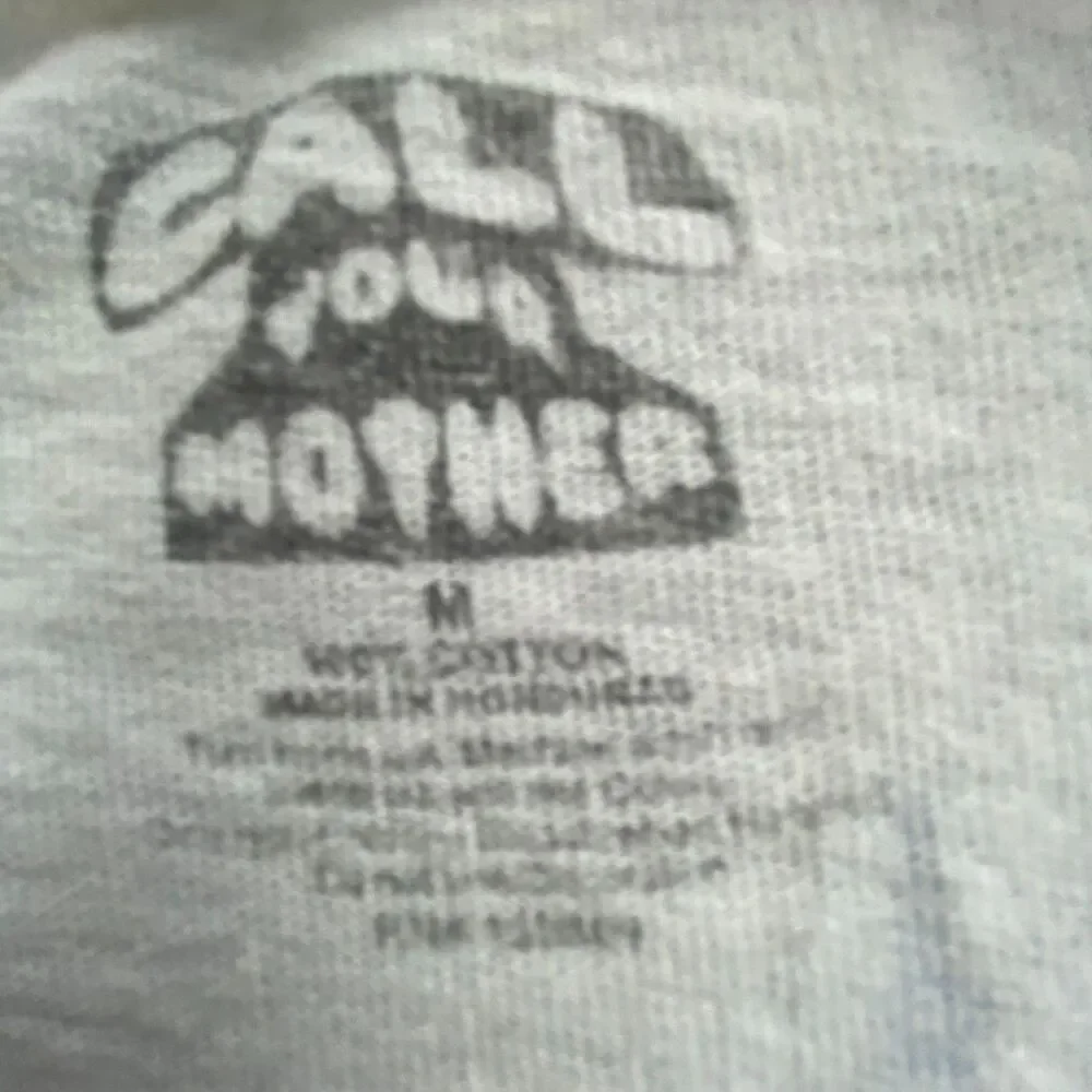 Call Your Mother Mens Graphic T-Shirt White Mount Fuji Japan Sun Size M Top
